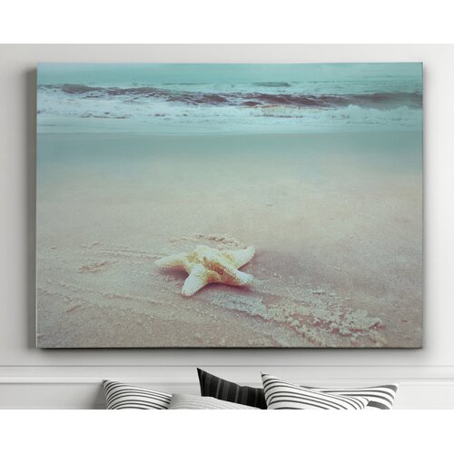 Highland Dunes Beach Set Starfish On Canvas Print Wayfair